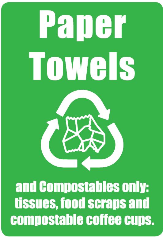 Paper towels.JPG